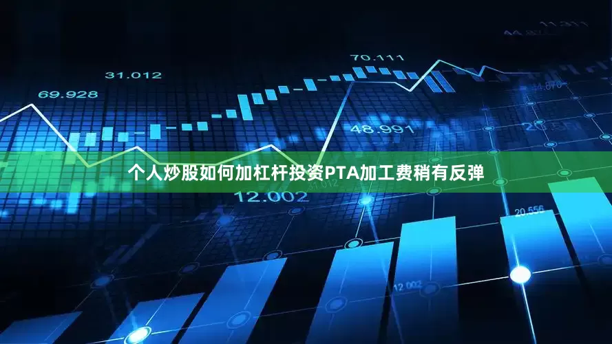 个人炒股如何加杠杆投资PTA加工费稍有反弹