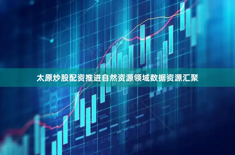 太原炒股配资推进自然资源领域数据资源汇聚