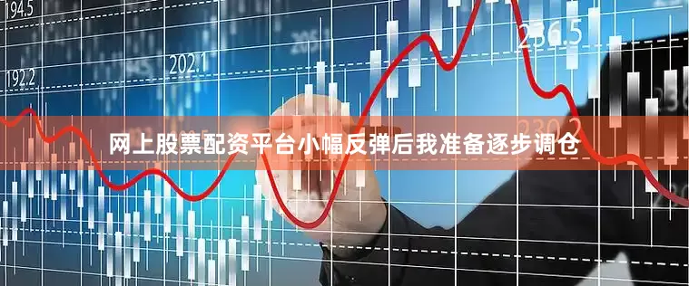 网上股票配资平台小幅反弹后我准备逐步调仓